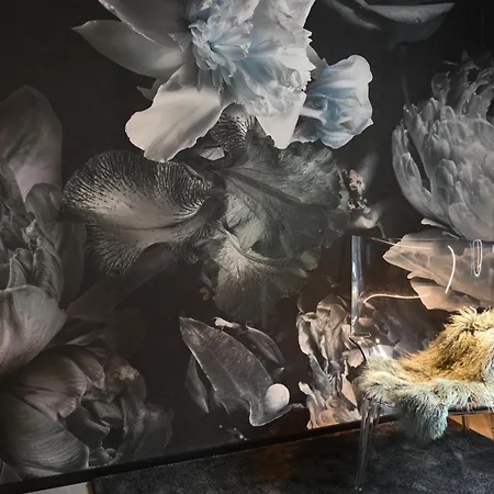 Lägenhet Fischer Design Schladming