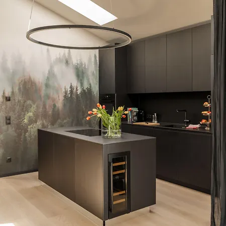 Апартаменти Fischer Design Шладмінг